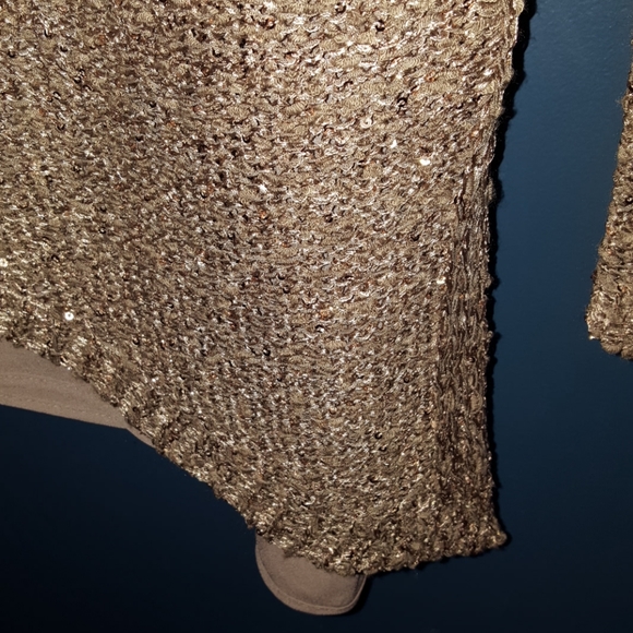 Shimmery Sweater - Picture 2 of 4